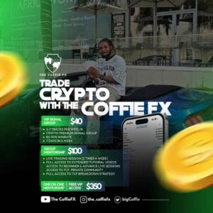 Forex Trading Fundamentals & Strategies